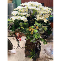 Hoa Giả - Hoa Lụa. Chậu Lan Hồ Điệp Cao Su Trồng Trên LŨA Trưng Tượng Phật