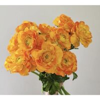 Hoa giả - Hoa Mao Lương Cao Cấp