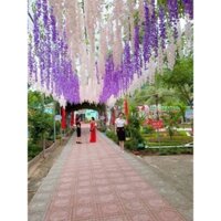 Hoa Giả, Hoa Tử Đằng Trang Trí Cmbo 12 Cành Chất Liệu Vải Lụa Cao Cấp , Phụ Kiện Chụp Ảnh Decor