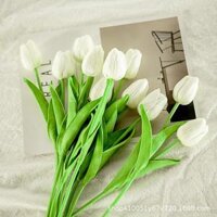 Hoa gia trang tri, Hoa tulip nhiêu mau cao câp giông thât 99 decor phu kiên chup anh - Trăng baby