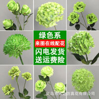 Hoa giả xanh phong cách rừng trang trí đám cưới vật liệu hoa giả hoa xanh cây hoa cẩm tú cầu hoa lụa