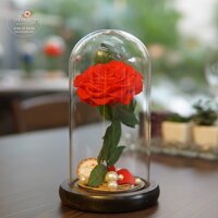 Hoa hồng bất tử Fuwa