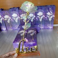 hoa hồng để bàn quà tặng 20 10 bỏ sỉ