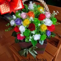 Hoa hồng gấm đủ màu