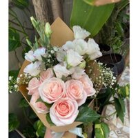 Hoa Hồng Kem mix hoa Bi