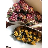 HOA HỒNG KHÔ (bó 10 cành, 22-26 bông)