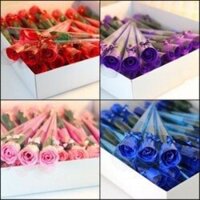 HOA HÔNG SÁP THƠM 1 BÔNG(KO GẤU)