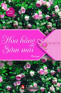 Hoa Hồng Sớm Mai