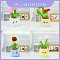 Hoa hướng dương sống động sang trọng và hoa mẫu đơn Chậu hoa trang trí nội thất hoàn hảo hoặc lựa chọn quà tặng