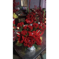 hoa kẽm nhung cắm chậu màu đỏ tươi