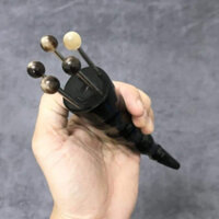 Hoa khế 5 chân sừng lớn/ bọ cạp sừng lớn diện chẩn