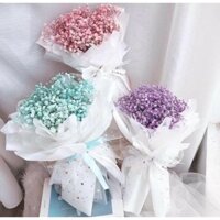 HOA KHÔ BABY (ẢNH THẬT)