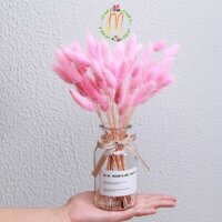 Hoa Khô, Bình Hoa Cỏ Đuôi Thỏ Tuyệt Đẹp Cao 25Cm Cắm Sẵn Trang Trí Bàn Trà, Kệ Tủ, Bàn Làm Việc