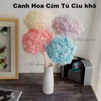 Hoa khô Cẩm Tú Cầu - Hoa Khô Hydrangea bất tử - Hoa khô decor bền đẹp