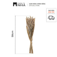 Hoa khô, cỏ đuôi thỏ kèm giấy gói - Bó hoa, cỏ khô decor, trang trí, phụ kiện chụp ảnh vintage