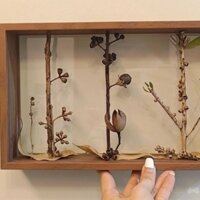 Hoa Khô Hai Mặt Trong Suốt Khung Ảnh Tự Làm Handmade Bất Tử Hoa Hồng Bảo Quản Khung Ảnh Rỗng Hai Mặt20250302