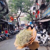 Hoa khô- hoa baby - hoa tặng sinh nhật- tiệm hoa family flowers