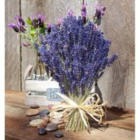 Hoa Khô Lavender 200gram