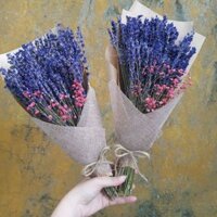 Hoa khô lavender hoa oải hương pháp