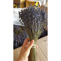 Hoa khô Lavender