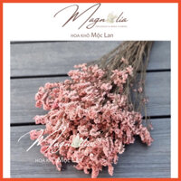Hoa khô sao thuỷ tinh Limonium bó lớn 100g trang trí decor nhà cửa