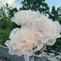 hoa khổng lồ decor sự kiện Decor Phòng Trang Trí Nhà Phòng Khách SHOPTAMKEM