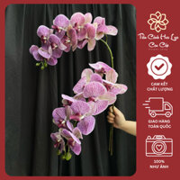 Hoa Lan Giả /Hoa Lan Hồ Điệp Cánh To Trang Trí Cao Cấp  Hoa Dài 100cm - Tiểu Cảnh Hoa Lụa Cao Cấp