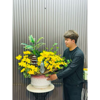 Hoa lan hồ điệp giả tiểu cảnh đẹp