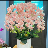 Hoa Lan hồ điệp vải lụa cao cấp 9 cành