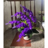 Hoa lan pha lê màu tím , hoa nghệ thuật siêu đẹp