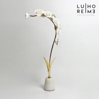 HOA LAN PHA LÊ size S