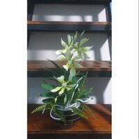 Hoa Lan Vũ nữ bằng đất sét