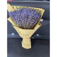 Hoa Lavender Đà Lạt khô