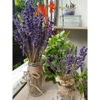 HOA LAVENDER KHÔ
