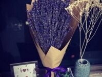 Hoa Lavender LVD10