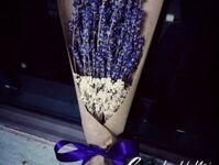 Hoa Lavender LVD11