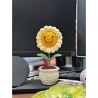 Hoa len hướng dương (chậu hoa như ảnh)