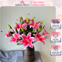 Hoa Ly Giả - Combo 3 Cành Hoa Ly SEPHERA, TẶNG BÌNH GỐM BÁT TRÀNG, Hoa Ly Cao Su 50cm Trang Trí Tết
