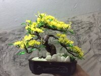 Hoa Mai Vàng Mini - Mã: HPL 159
