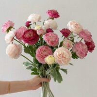 Hoa Mẫu Đơn Lục Liên Dương Giả Hoa Giả Hoa Trang Trí Bàn Ăn Hoa Nhựa Cao Cấp Phòng Khách Đạo Cụ Chụp Ảnh