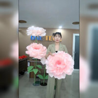 Hoa Mẫu Đơn Màu Hồng Giấy Nhún