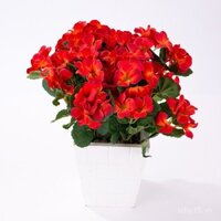 Hoa mô phỏng cao, hoa cẩm tú cầu năm nhánh, hoa cầm tay mô phỏng cao, cây hoa, trang trí tường, hoa để bàn