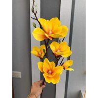 Hoa mộc lan cao cấp cành 5 bông