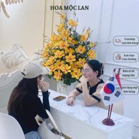 Hoa Mộc Lan Đại, Mộc Lan 6 Bông Cành 130cm Phù Hợp Trang Trí Nhà Của Phòng Khách Phòng Ngủ_Hoàn Hoa Lụa