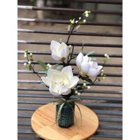 Hoa Mộc Lan trắng để bàn NT16721