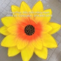 Hoa múa cầm tay 1 cặp 2 cái