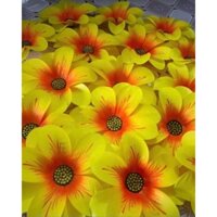 hoa múa màu vàng. đường kính 45 cm