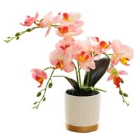 Hoa nhân tạo 13 Inch Quà tặng cây cảnh Phalaenopsis đáy vàng