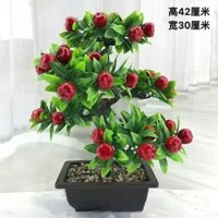 Hoa Nhân Tạo Cây Cam Cây Xanh May Mắn Cây Nhựa Chậu Cây Cảnh Trang Trí Phòng Khách Hoa Khô Hoa Nhân Tạo