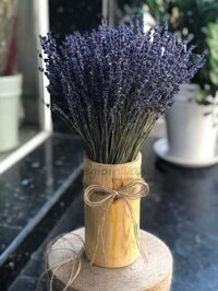 Hoa oải hương khô